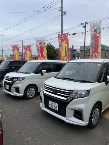 新車軽自動車マイカーリース フラット7 フラット7千歳店 新車中古車販売 愛車買取 下取 スターオート千歳店 北海道 千歳市 南千歳 新千歳空港 千歳駅 格安レンタカー 市内最寄ホテル 無料送迎有 ニコニコレンタカー千歳東雲町店 スターオート千歳店のニュース 新車軽自動車マイカーリース フラット7 フラット7千歳店 新車中古車販売 愛車買取 下取 スターオート千歳店 北海道 千歳市 南千歳 新千歳空港 千歳駅 格安レンタカー 市内最寄ホテル 無料送迎有 ニコニコレンタカー千歳東雲町店 スターオート千歳店のニュース