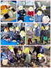 お弁当おいしい～♡「お別れ遠足☆【交野市・小規模保育園】」
