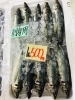 「魚魚市場鮮魚コーナーおすすめは「うちわエビ・ノドグロ」です♪」