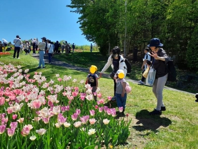 お天気よくって良かったです。「滝野すずらん公園🌷【札幌市北区児童デイサービスこぱんはうすさくら札幌太平教室】」