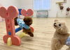 綺羅くん笑いながらジャンプ😃「ましゅまろ幼稚園🐾パート2」