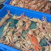 「なぜか魚屋で餅と大判焼きがバリ売れる🤣🤣」