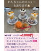 「今週日曜日！ドッグカフェcocohareさんでの収納セミナー」