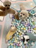 入ったけど…出口がわからない子たち　🤣「ましゅまろ幼稚園🐾🐾🐾」