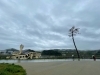 震災遺構・奇跡の一本松と陸前高田ユースホステル跡「社長ブログ「提携会の定期会合で盛岡へ！」」