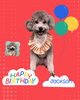 「Dog salon mofu mofu　余市町」