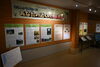 大きな看板がお出迎え！「面河山岳博物館 × とべ動物園コラボ企画「もうムシできない!?あなたの近くの外来昆虫展」」