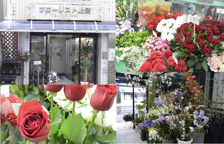 フローリスト上沼 綱島 花屋 港北区の自宅で楽しめる商品 サービス特集 まいぷれ 横浜市港北区 フローリスト上沼 綱島 花屋 港北区の自宅で楽しめる商品 サービス特集 まいぷれ 横浜市港北区