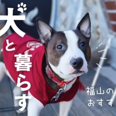 【犬と暮らす】福山の愛犬家におすすめのお店特集