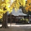 【紅葉スポット】　諏訪市　佛法紹隆寺