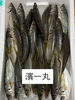 鯵「鮮魚入荷中でーす」