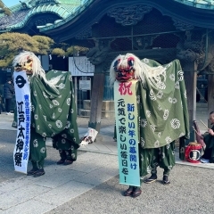 【令和6年柴又の獅子舞門付け】獅子舞に頭を噛まれて疫病退治！