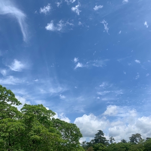 雨上がりの青空「働く！ということとマインド」