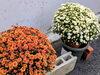 「満員御礼！落ち着きの店内風景とカラオケのひととき」
