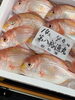 「本日も営業致します」