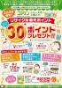 商品案内１「今回の一押し！　コアノンロール！」