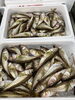 「太刀魚が入荷しました！」