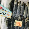 「魚魚市場鮮魚コーナーおすすめは「レンコ鯛・サバ」です♪」