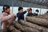 「【サンデーいわふね】12月08日号の主な内容は…」