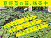 「４月29日よりＧＷセール開催！」