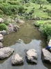 「こんな作業もやります！池の清掃作業」