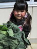 大きなキャベツがとれたよ♡「美味しい野菜がたくさん収穫できました！」