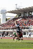 「【ラグビー初心者の初めての観戦をレポート】江戸川ラグビー応援団！クボタスピアーズ特集にお写真とレポートを掲載させていただきました！」