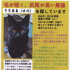 探しております。