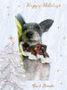 「Dog salon mofu mofu　余市町」