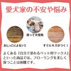 愛犬家の悩み「犬にぴったりな床☺️」