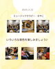 「ミュージックセラピーおやこ２月　産科婦人科山口病院」