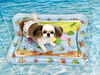 なこちゃん「波とわんこ🌊」