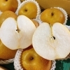 「秋田県産「秋泉梨」販売中です！」