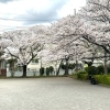 名戸ヶ谷第四公園
