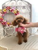 夢夢ちゃん「わんこと秋桜」