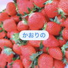 かおりの