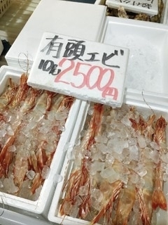 有頭エビ「西海橋物産館　魚魚市場には毎日新鮮な魚介が入荷しています‼︎」