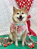 ワンちゃん「わんことストロベリー🍓」
