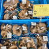 地元産きのこ『香茸(こうたけ)』「秋分の日 墓参り お供え花入荷してます！」