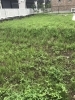 庭の雑草対策 防草シート 磯子区 植木 造園のご相談は庭一 庭一のニュース まいぷれ 横浜市磯子区 金沢区