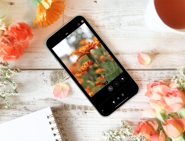 「【新作コラム】スマホの写真をもっとキレイに！「レタッチ」でワンランクアップしてみませんか？」