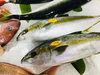 「魚魚市場鮮魚コーナーおすすめは「天然ヒラス」「天然ぶり」です♪」