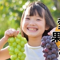 愛媛県内の果物狩りスポットを紹介します！