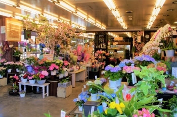 花文化 を広める上田市の 桜屋 さんを取材 上田市 東御市のおすすめお店特集 まいぷれ 上田 東御