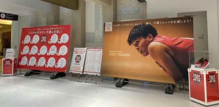 千葉ジェッツ選手メッセージをららぽーとtokyo Bayで展示中 Live放送も 船橋トピックス 身近にあるニュースを日々お届け まいぷれ 船橋市