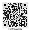 「シャインカービングちょこっとやってみたい会」