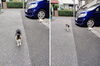 こんにちは「(ΦωΦ) ねこで癒される１ (=^・^=)　★英会話と体操のコラボ教室（堀切、お花茶屋、綾瀬、亀有、小菅）」