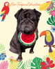 「Dog salon mofu mofu　余市町」