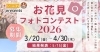 まいぷれ川越周辺 presents お花見フォトコンテスト2025