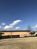 お散歩の公園から見上げた空「（╹◡╹）こんばんは」
